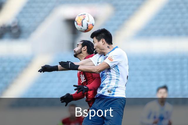 Bsport公司介绍图